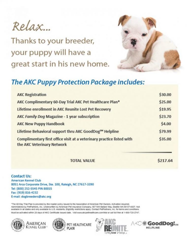 Holly Bluff Shelties Mississippi AKC Puppy Protection Package