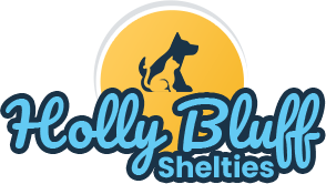 Holly Bluff Shelties