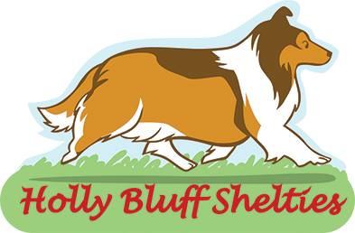 Holly Bluff Shelties